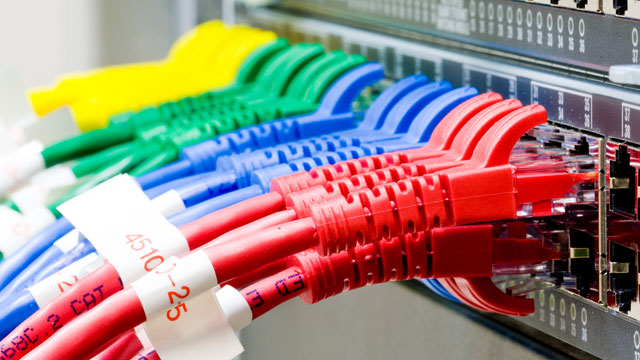 Cat Cables in Patch Panel